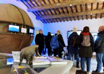 Geological and Landslide Museum: the science that tells the story of the territory and the enchantment of fossils