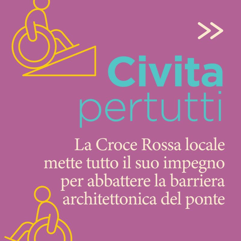 disabilità_800x800