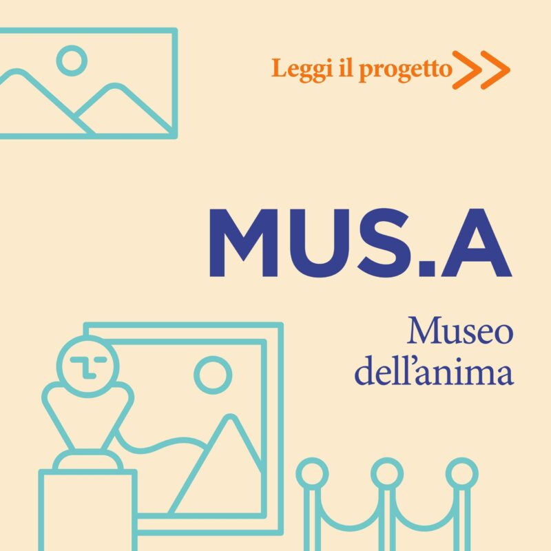 musa_800x800 musa_800x800